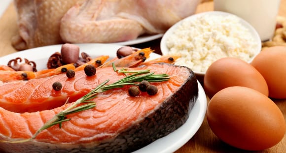 protein sources